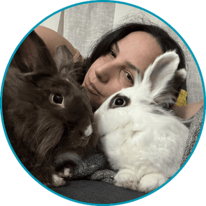 Bunnies favicon